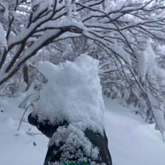 バフバフ☃️🎵