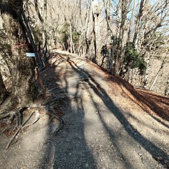 正面から降りて来ました
右は精進湖に降りる道
パノラマ台へピストンします。