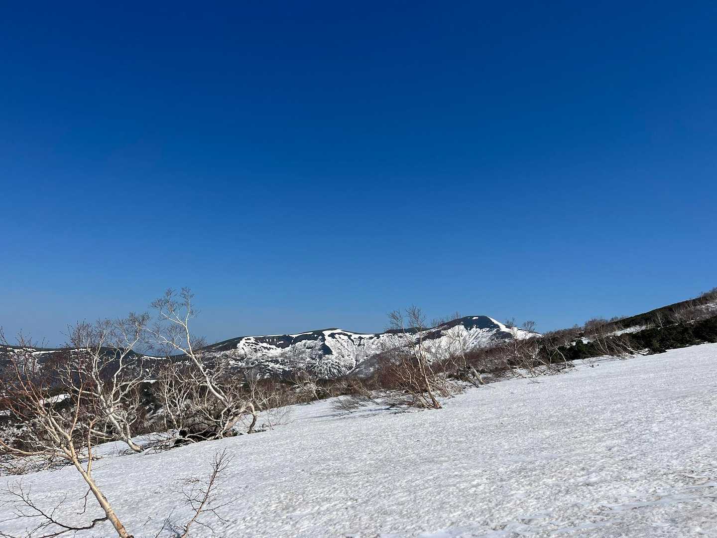 雄冬山が見えてきましたよー🤩