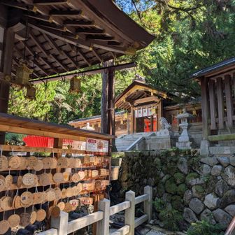 枚岡神社さんにお参り。