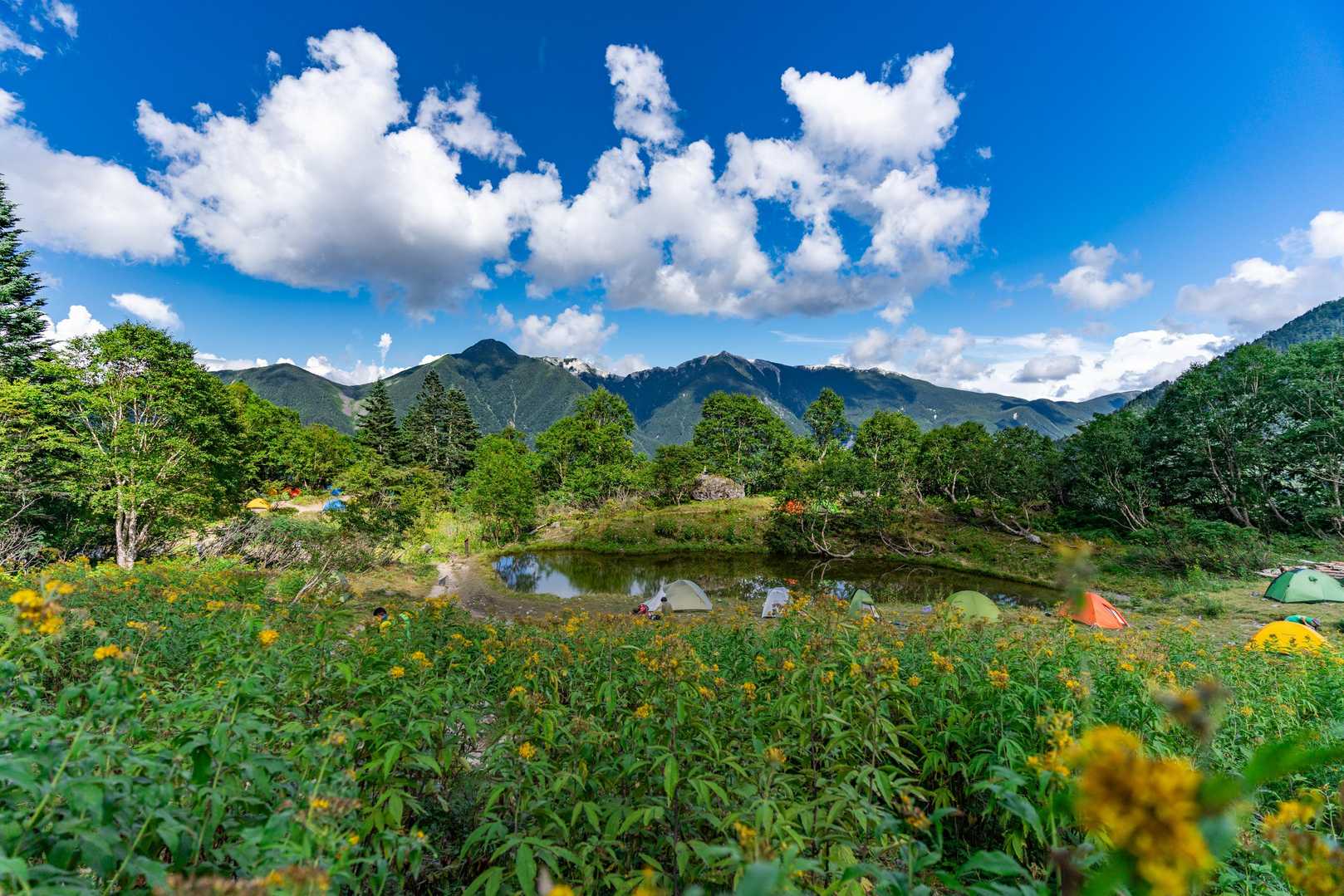 中白根山-間ノ岳-農鳥岳-農鳥岳-大門沢登山道入口-奈良田 縦走コースの写真