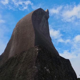 末広がりの令和八年
かたちも八の雰囲気
1月1日はこの1枚で潔く

オベリスクのような太陽信仰…？
屋久島の山岳信仰とは大いに関係あると思う


一年のいちばん最初に聴く声が鳥の鳴き声 ♪
悠久の森をゆっくりと歩き
屋久杉の気を深く吸い込む

ずっと晴れてくれて屋久島ありがとう♡