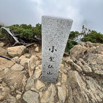 小至仏到着