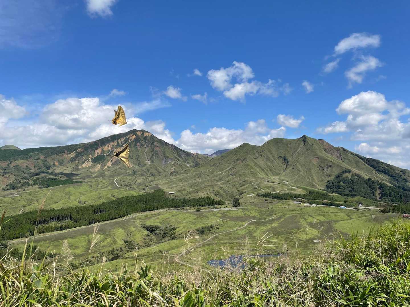 山頂からの景色を撮ったら、蝶々が映り込んでました😊