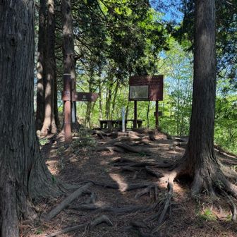 醍醐丸山頂着

地味に登るのよね
和田峠から1.4km、約220mアップ
この辺りから足の調子少し戻る