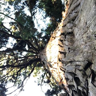 大杉さんカッコいい！