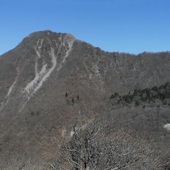 結構、汗かきました