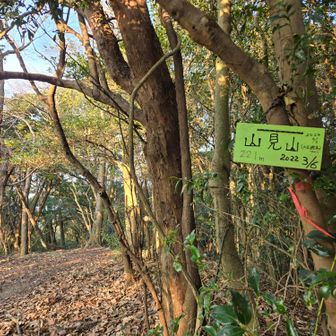 あ…さっきの「見晴らしの丘」のある山名表示がなかったと思ってたピーク…
こんなトコにありました👀