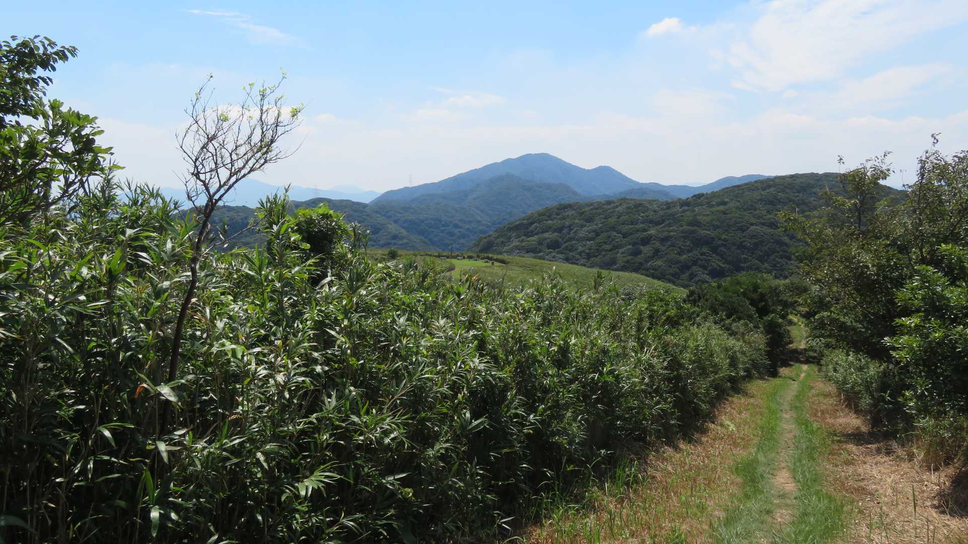 寺内バス停-戸ノ上山登山口-戸ノ上山-大台ヶ原 縦走コースの写真