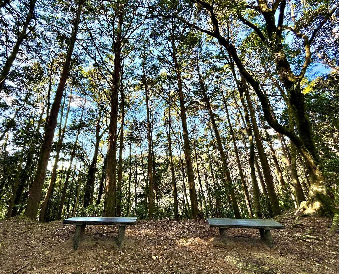 ベンチ沢山で優しいお山🪑