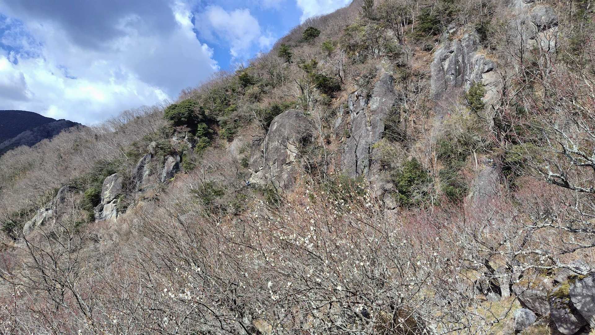 よくよく見たらこのこの辺りものすごい巨岩が立ち並んでいますね。
アクセスもいいし、ロッククライミングにはいいゲレンデみたいです。