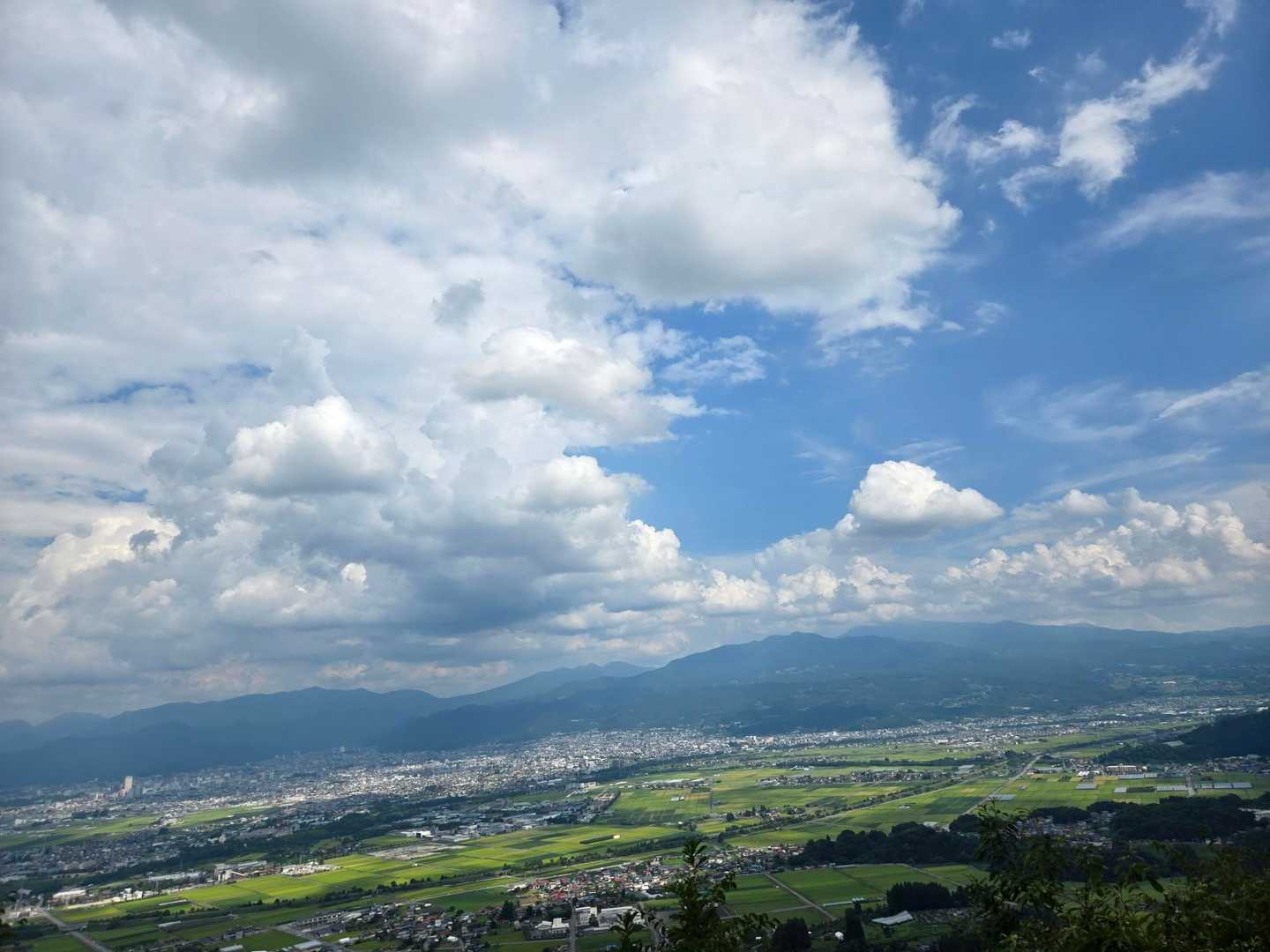 富神山 往復コースの写真