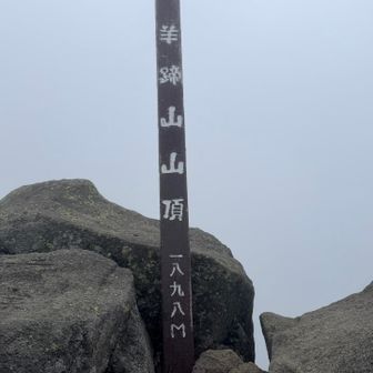何とか山頂に到着🙌🏻今日はツラかったー😭
