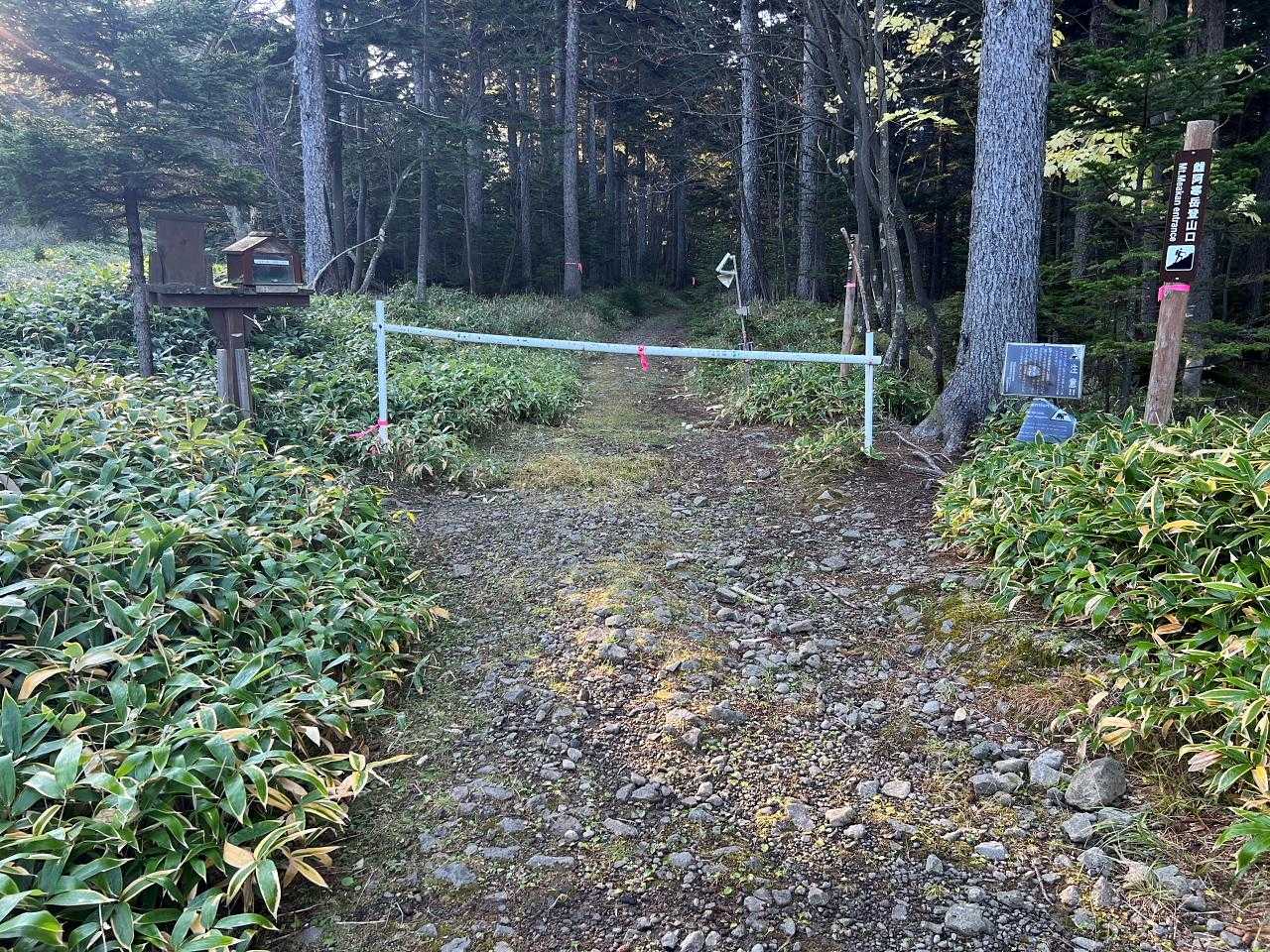 駐車場に至る林道がそんなに荒れてなくてよかった。
さ、スタートします。