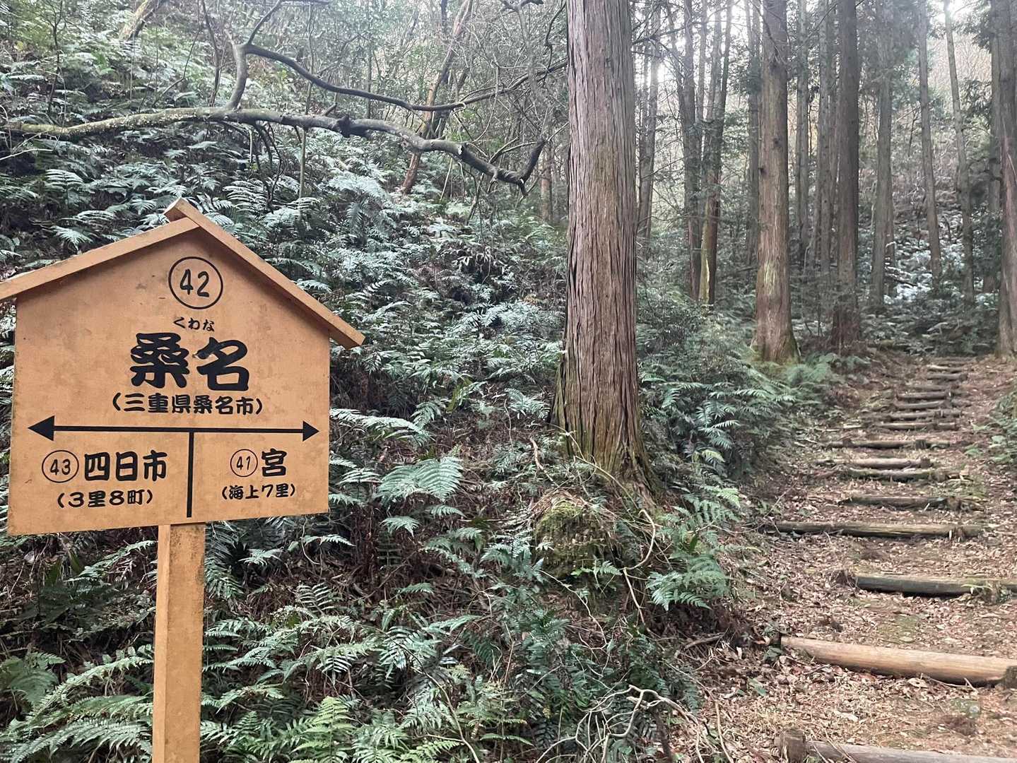 整備されてて歩きやすいです。