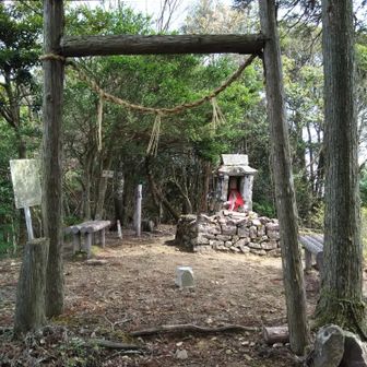 ここでお昼ご飯頂きました。