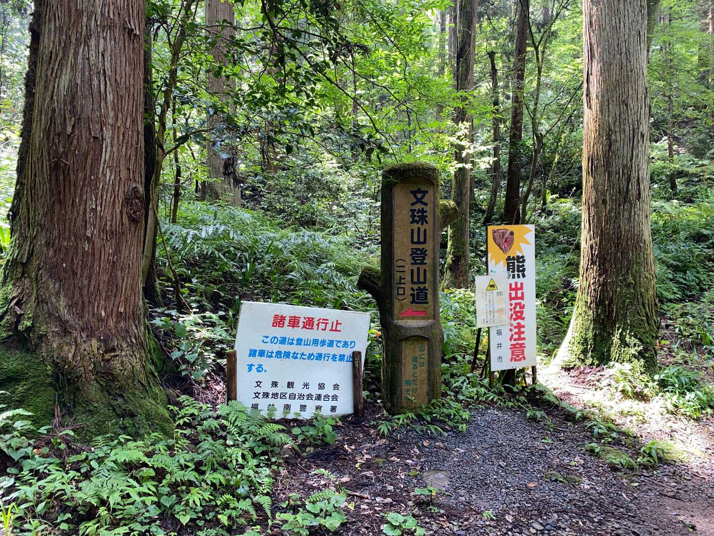 ただいまです。