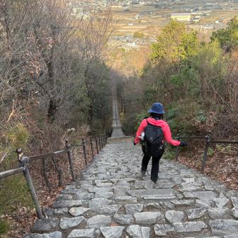 急傾斜の長い階段で怖々下りた😰
次は屯鶴峯へ