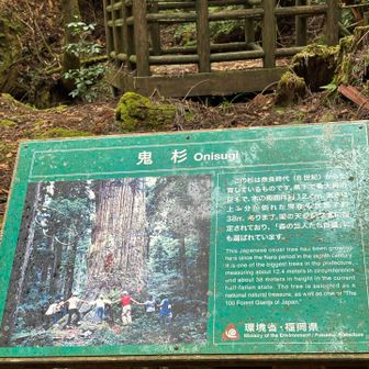 ここがチェックポイント地✅
10時過ぎて遅く着くと撤収される😅