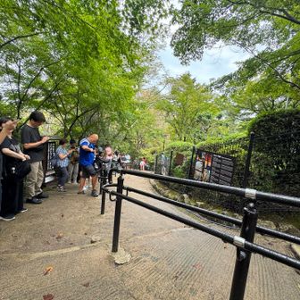 厳島神社の後はロープウェイ乗り場まで歩いて移動。ここで事前予約が必要な事が判明😳　その場で直ぐに予約するも始発はいっぱいで次の9:15があと4人！あぶないあぶない💦
急いで予約して30分ほど待ちました。