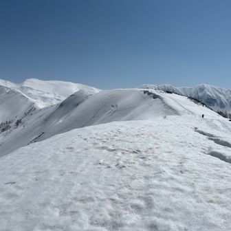 更に、1281ピーク（品倉尾根）に、向かいます