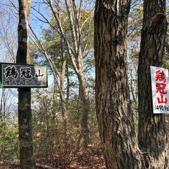 鶏冠山⛰️491m
