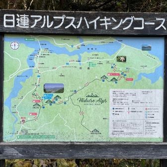 🦖の爪先
赤沢バス停🚏
落ち葉🍂で滑って怖かった😰