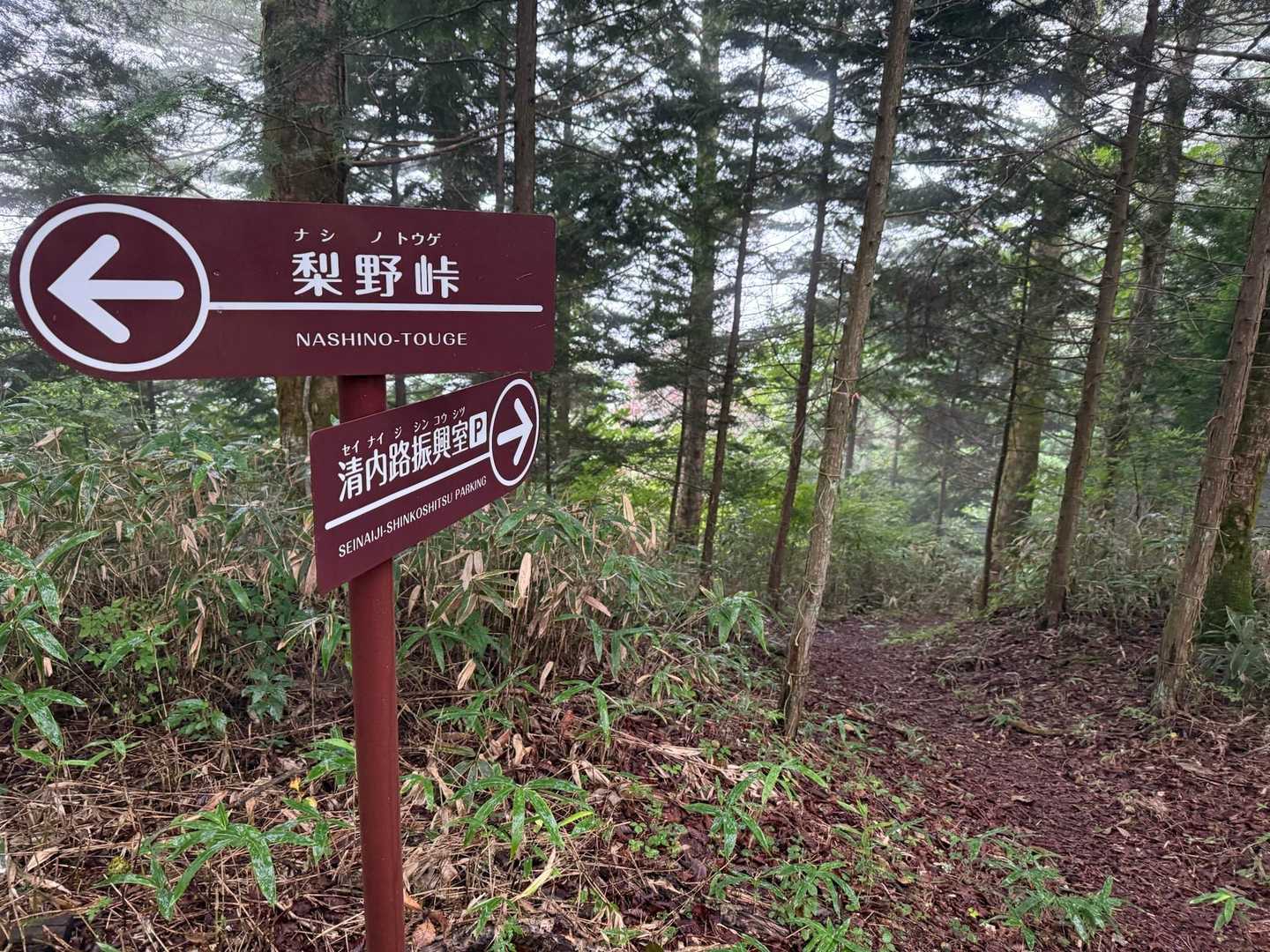 高鳥屋山-梨子野山-梨子野峠 縦走コースの写真
