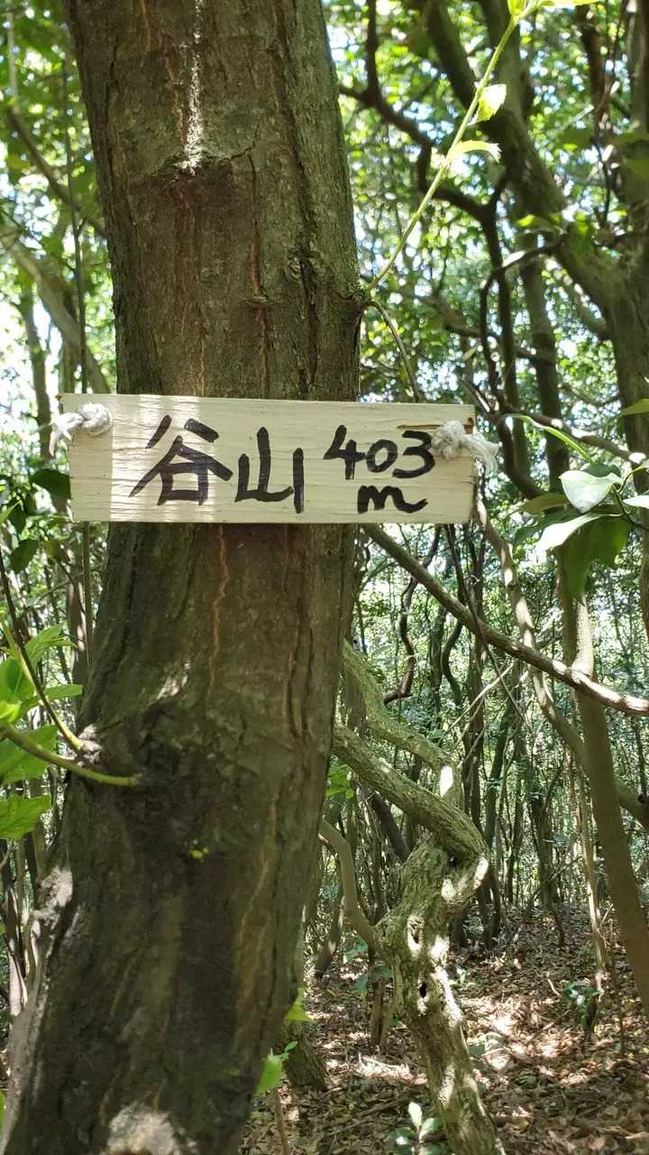 谷山の写真