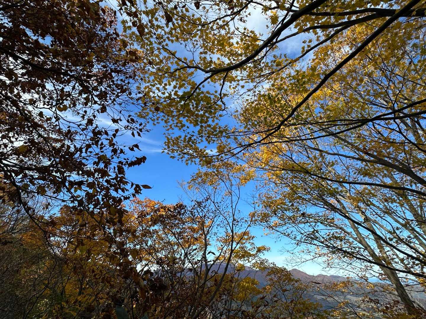 ほんとにいいお天気でよかった〜☺️