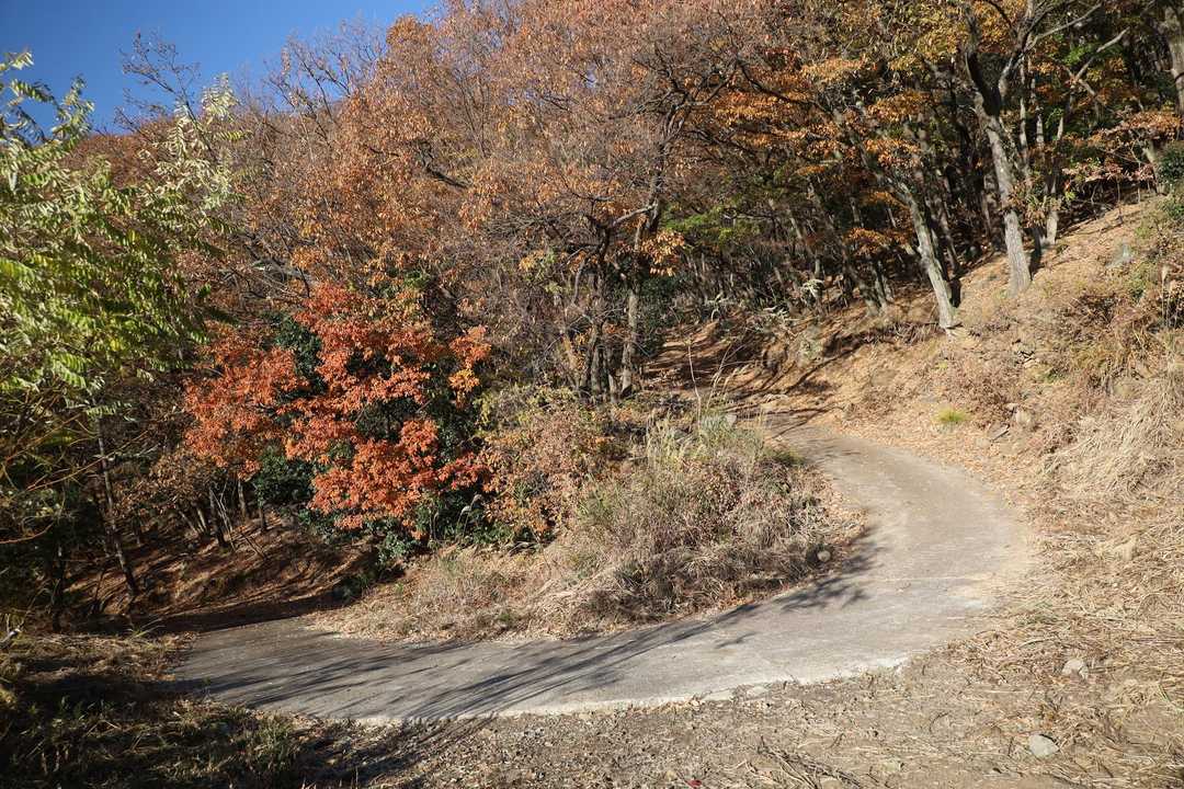 展望を眺めて、ここから少し進んだ分岐から展望台へ