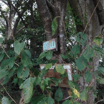 原山山頂