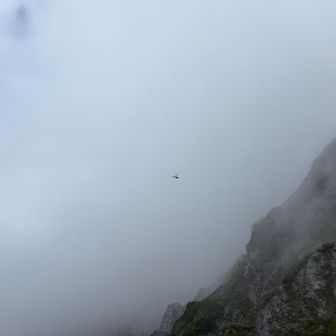 ガスガス☁️
トンボ　　アマツバメ　　クマタカ🦅(目視)