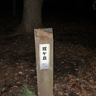 双ヶ丘　携帯のライトを付けないと真っ暗。
この後、本日のゴールの新金岡駅へ。