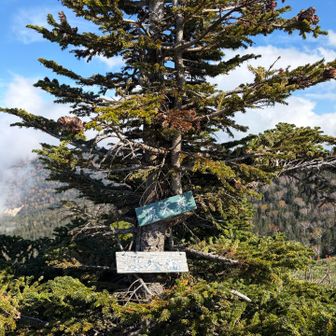 せっかくなのでちょっと足を伸ばして源太森山頂に寄り道。