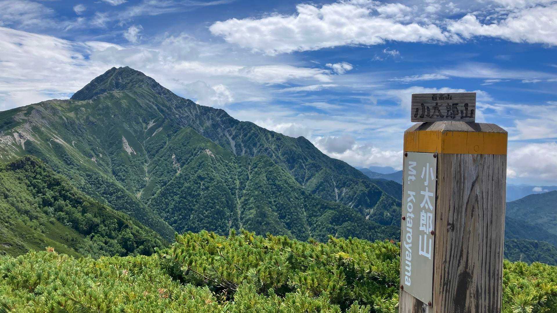 広河原-広河原登山口-小太郎山 往復コースの写真
