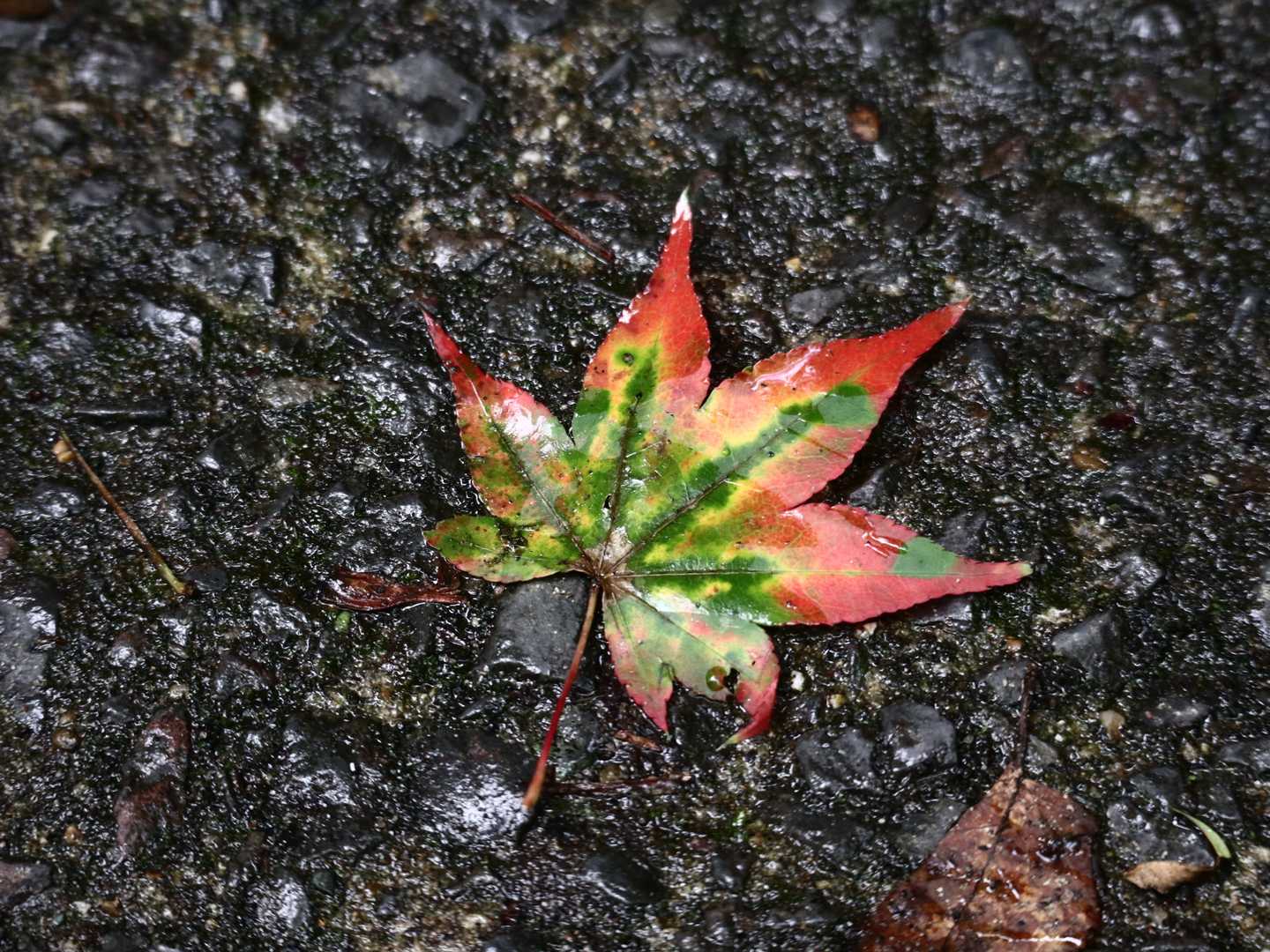 もう秋の予感？？