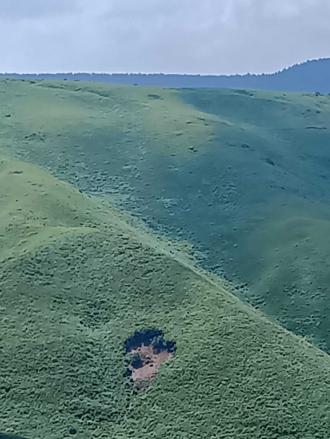 私には🩷に見える