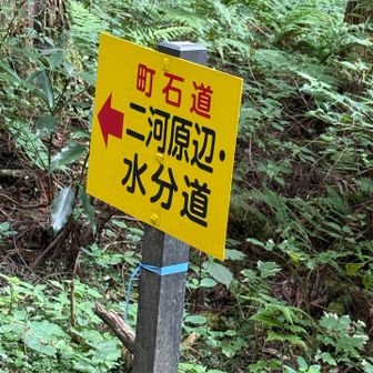 ここからが長い
