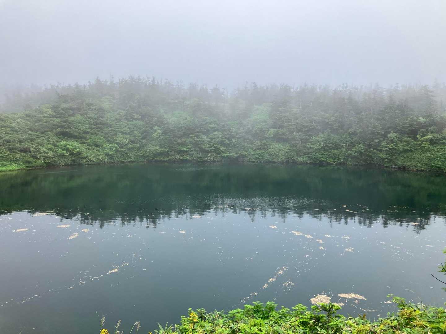 鏡池です。鏡のように波がありません。