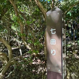 頑張る
