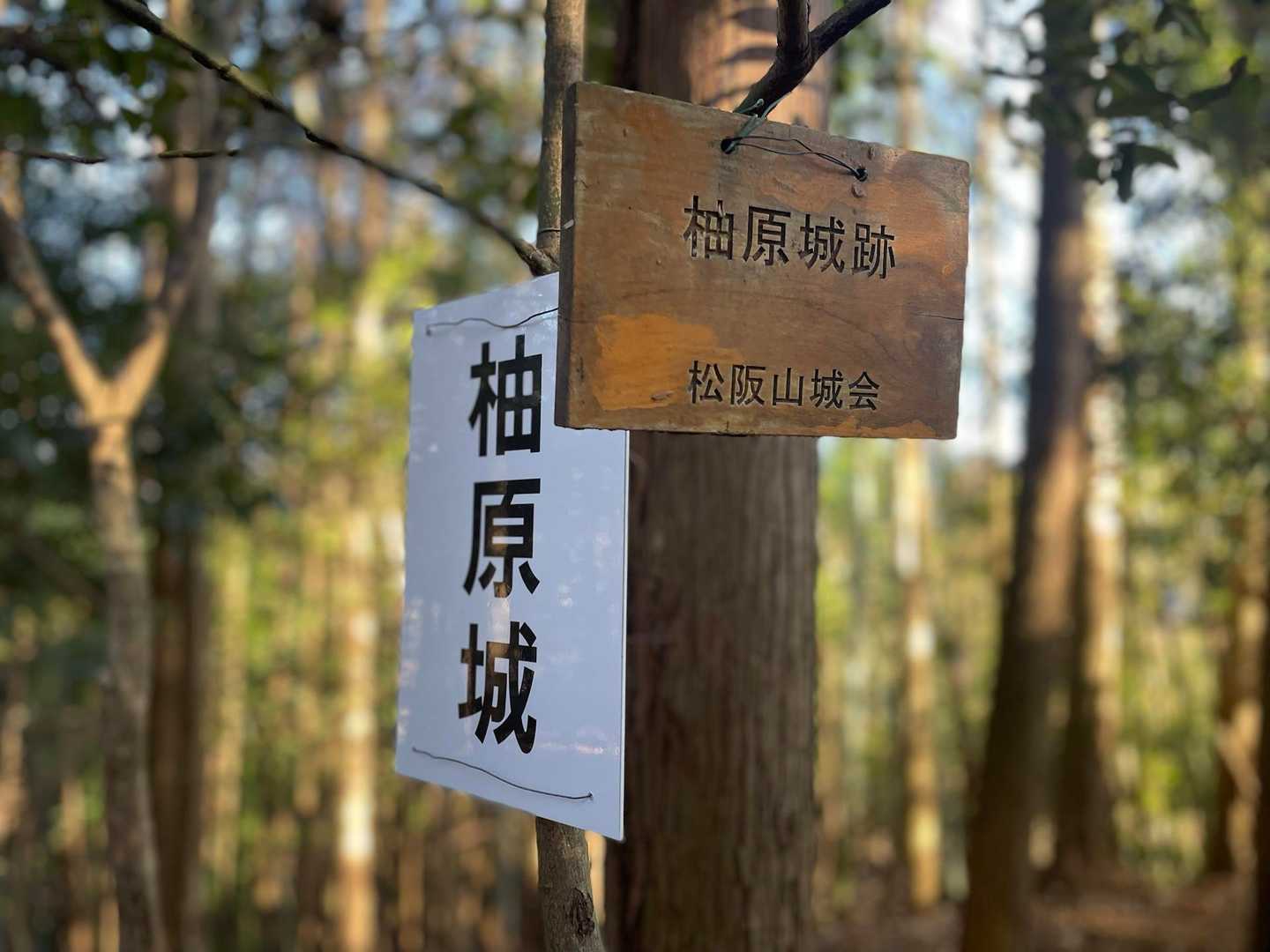 ここまで戻ってきたらもう降りるだけ！