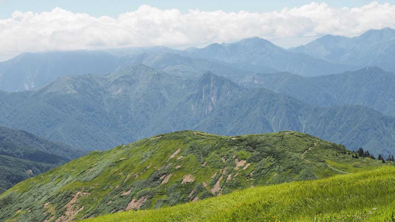 巻機山、夏空の夫婦登山 の写真 23