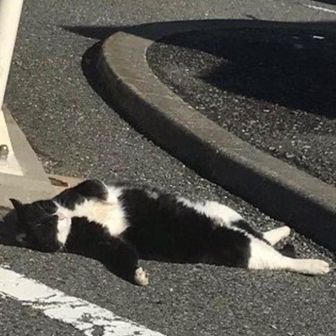 イッセイ(おおむら)