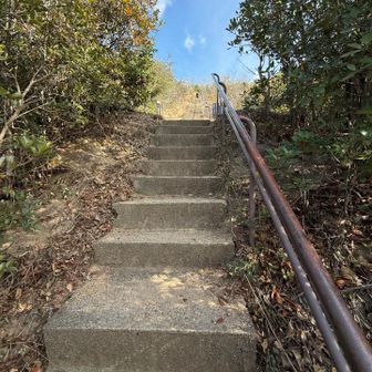 くっそ！！！この階段頭おかし過ぎんだろ！！！！！