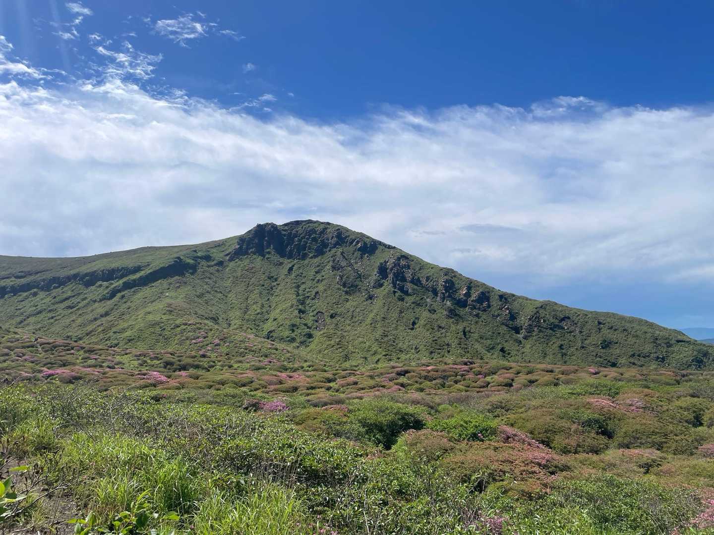 皿山 往復コースの写真