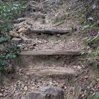 山たから登りになってきた〜