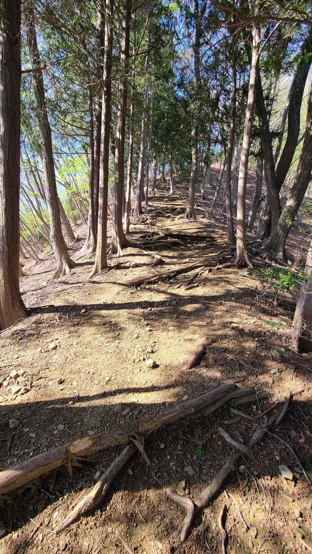 栗山登山口-笠山-笠山峠-七重峠-堂平山 往復コースの写真