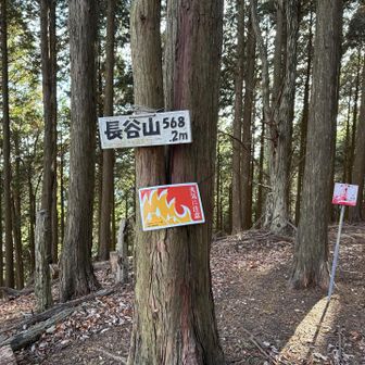 ここまでは安全な道