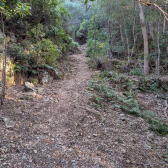 結構な勾配です